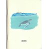 Carnet de notes Bébé tortue