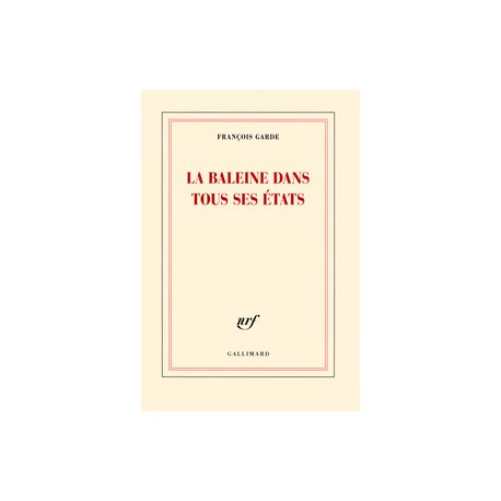 Les baleines dans tous ses états