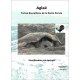 Aglaé