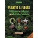 Plantes & fleurs endémiques et indigènes de la Nouvelle-Calédonie