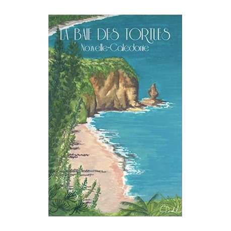 Affiche A3 La baie des Tortues