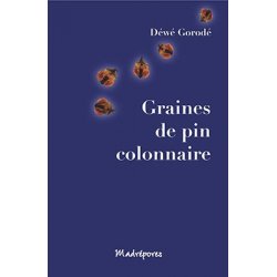 Graines de pin colonnaire