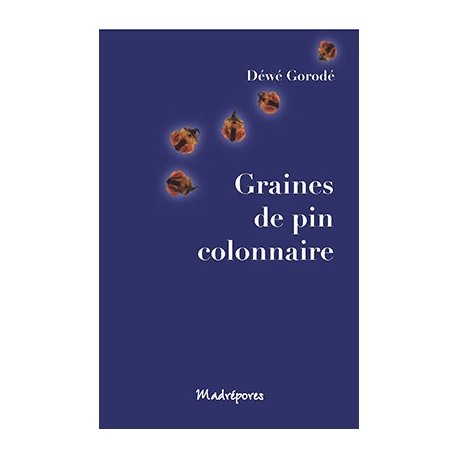 Graines de pin colonnaire