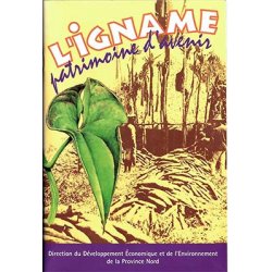 L'igname, patrimoine d'avenir