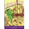 L'igname, patrimoine d'avenir