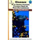 Oiseaux de la chaîne centrale Province Nord (occasion)