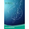 Les dugongs (collection CIE espèces emblématiques de NC)