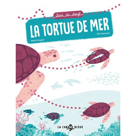 Suis du doigt, la tortue de mer