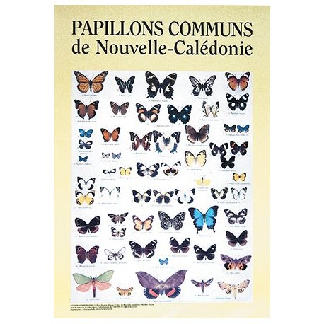 Affiche papillons de Nouvelle-Calédonie