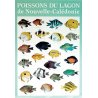 Affiche poissons du lagon de NC n°1