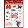 Affiche crustacés (crabes) de Nouvelle-Calédonie