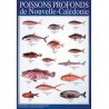 Affiche poissons profonds de Nouvelle-Calédonie