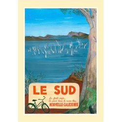 Affiche A2 Le Sud