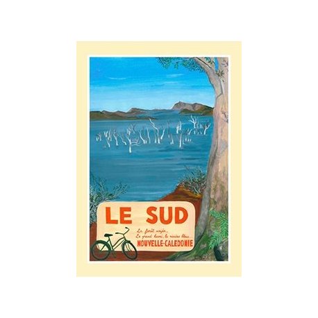Affiche A2 Le Sud