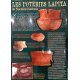 Affiche poteries Lapita