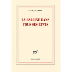 Les baleines dans tous ses états