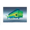 Carte postale Mahi mahi