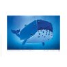 Carte postale Baleine bleue