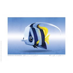 Carte postale Poisson cochet