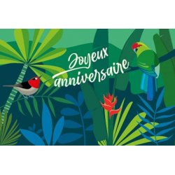 Carte double Joyeux anniversaire (perruche)