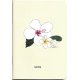 Carnet de notes Hibiscus