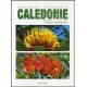 Nouvelle-Calédonie chlorophylle (occasion)