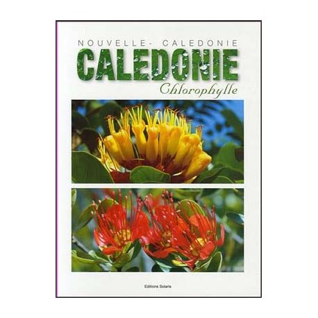 Nouvelle-Calédonie chlorophylle (occasion)