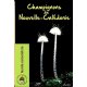 Champignons de Nouvelle-Calédonie