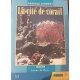 La cité de corail