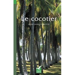 Le cocotier