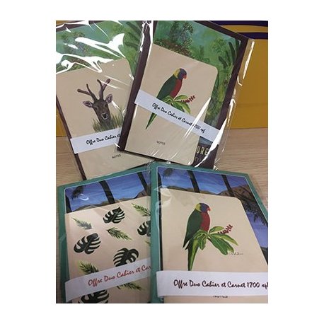 Duo cahier+carnet Ma soeur Antoinette