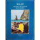 Belep. Archipel des paradis sous-marins