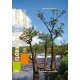 Florilège des plantes en Nouvelle-Calédonie, tome 1