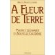 A fleur de terre