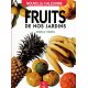 Fruits de nos jardins (occasion)