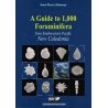 A Guide to 1000 Foraminifera from Southwestern Pacific, New Caledonia