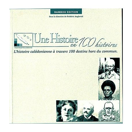 Une histoire en 100 histoires (occasion)