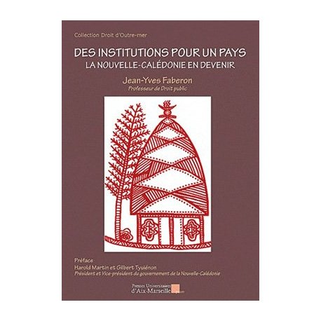 Des institutions pour un pays. La NC en devenir