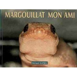 Margouillat mon ami