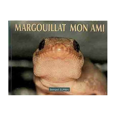 Margouillat mon ami