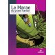Le Marae du grand banian