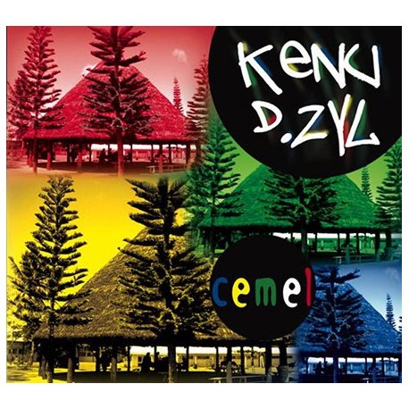 Kenu D Zyl