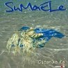 SUMA2L2 - CICANGO KE