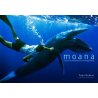 Moana