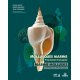 Mollusques marins de Polynésie française