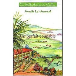 Un parfait coupable
