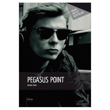 Pegasus point