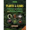 Plantes & fleurs endémiques et indigènes de la Nouvelle-Calédonie