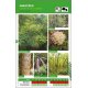 Plantes des forêts sèches de NC, tome 2