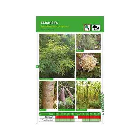 Plantes des forêts sèches de NC, tome 2